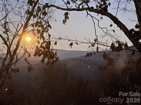 a view of a house with a tree