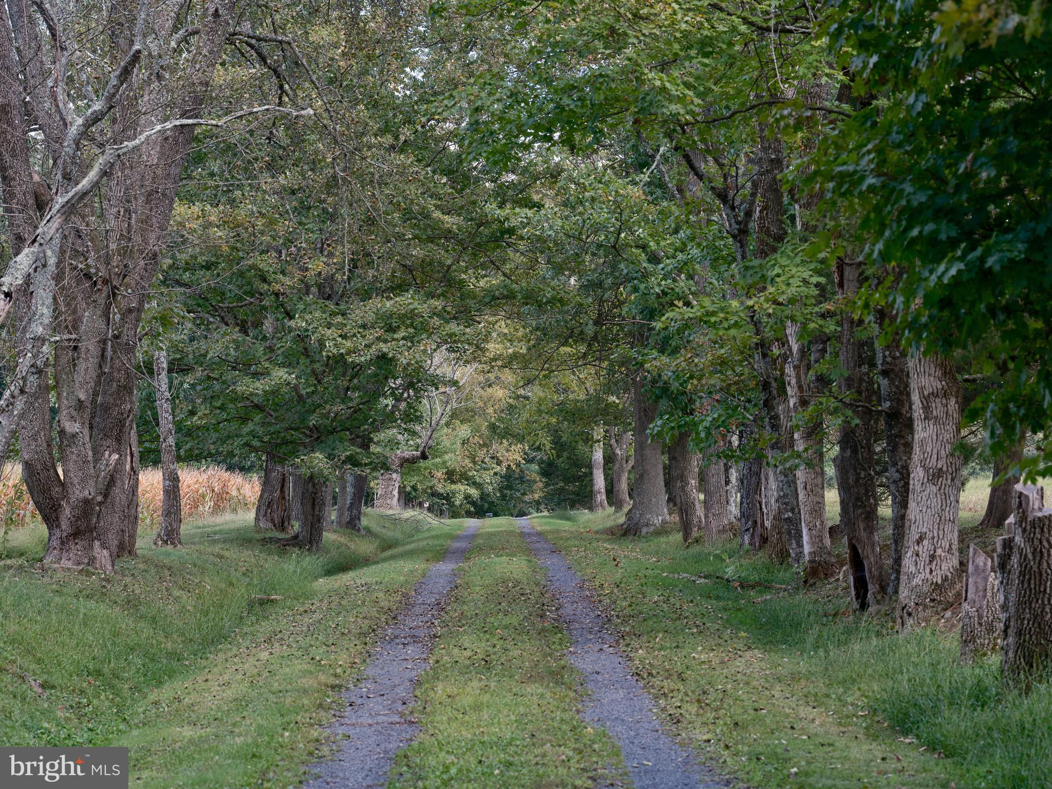 1403 Sugar Bottom Road Furlong, PA 18925 - Photo 23 of 25
