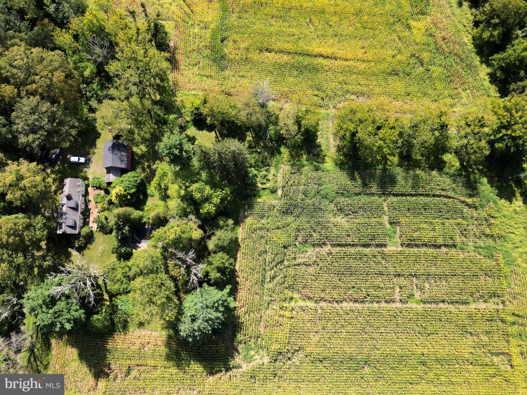 1403 Sugar Bottom Road Furlong, PA 18925 - Photo 4 of 25