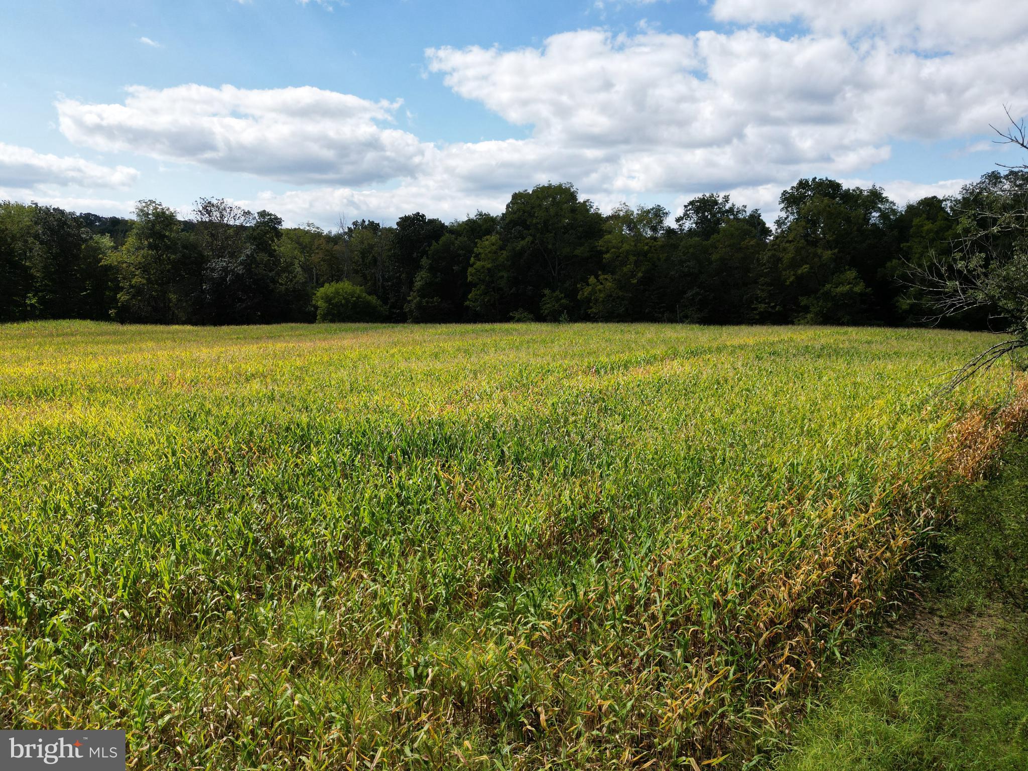 1403 Sugar Bottom Road Furlong, PA 18925 - Photo 6 of 25