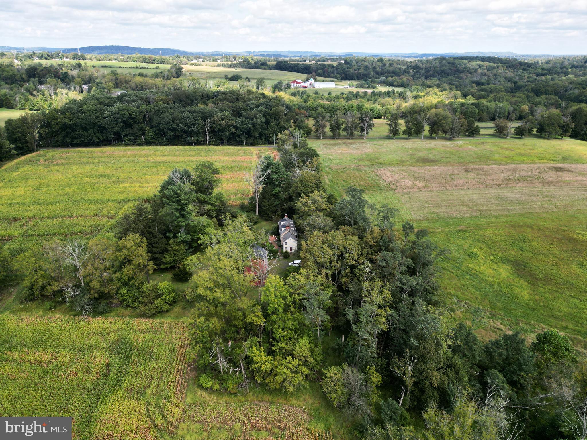 1403 Sugar Bottom Road Furlong, PA 18925 - Photo 8 of 25