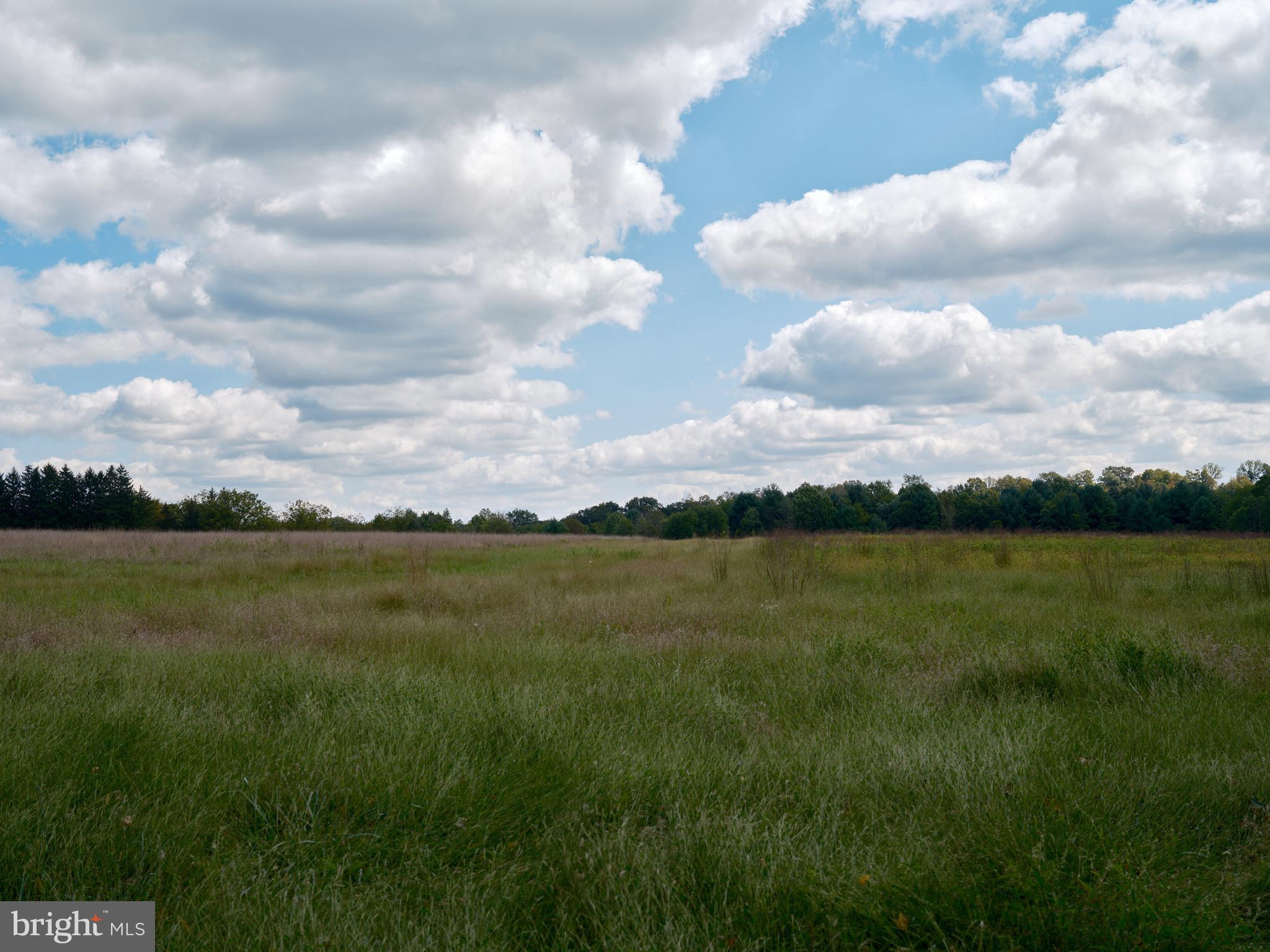 1403 Sugar Bottom Road Furlong, PA 18925 - Photo 10 of 25
