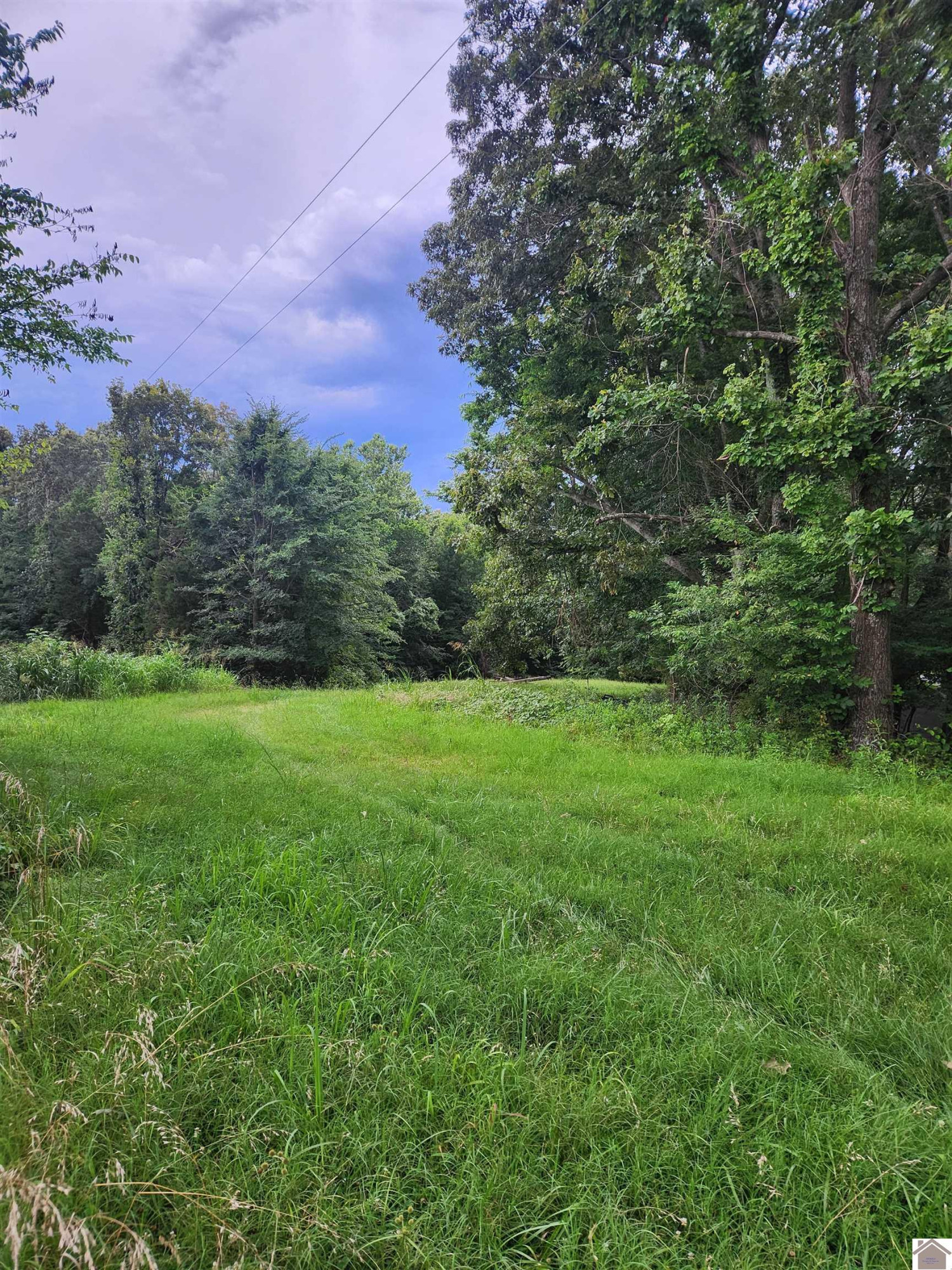 1000 McCracken County Road Boaz, KY 42027 - Photo 2 of 7 Photo 2