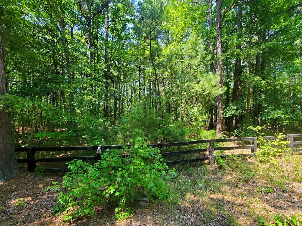 610 Wills Road, Unit 2 Blackstone, VA 23824 - Photo 4 of 23 Gallery Image 4