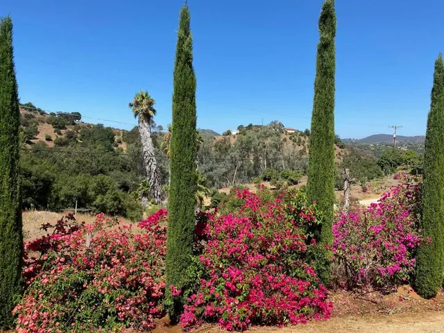 a view of a of a building