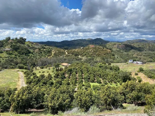 a view of a lake with a city
