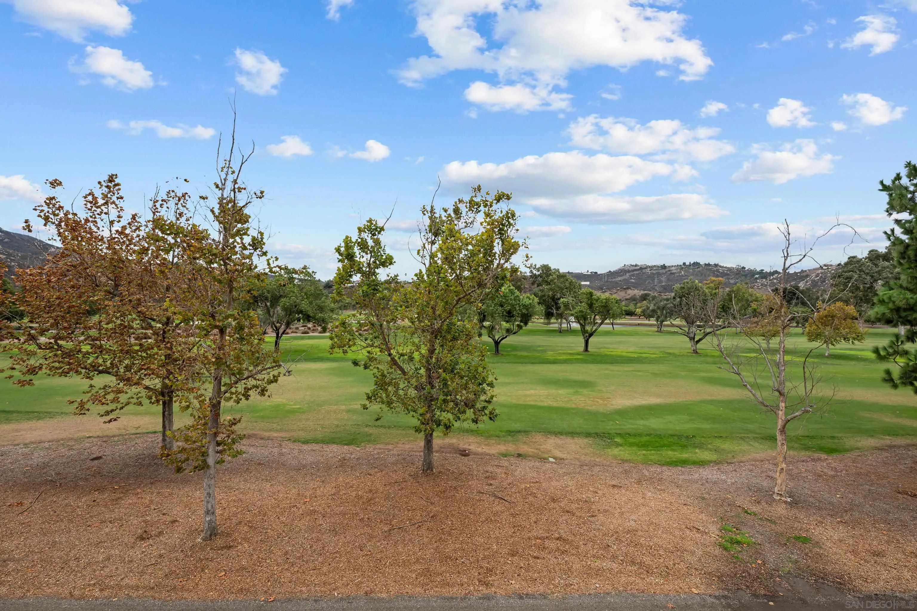 3267 Dehesa Road, Unit 69 El Cajon, CA 92019 - Photo 16 of 34 a view of a road with a yard