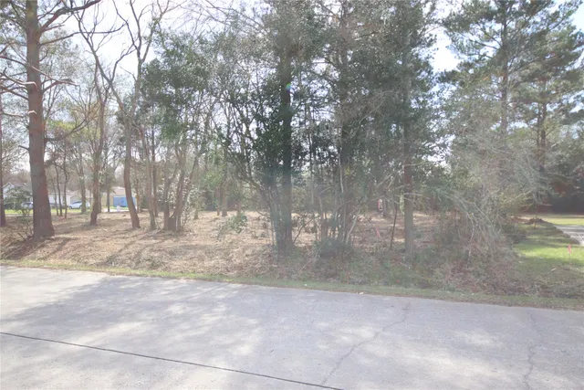 a view of yard with trees