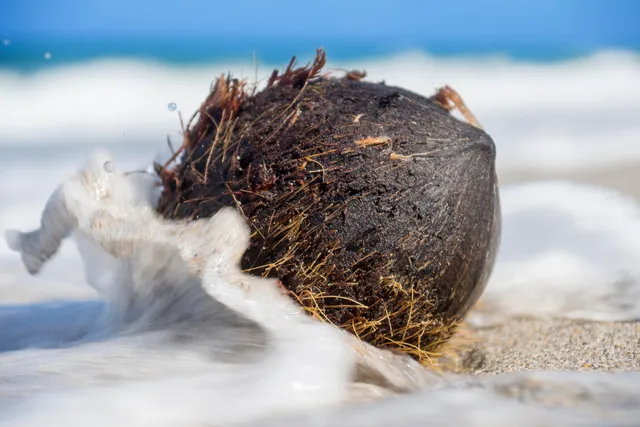 a view of a ocean view