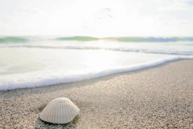 a view of outdoor space and fire pit