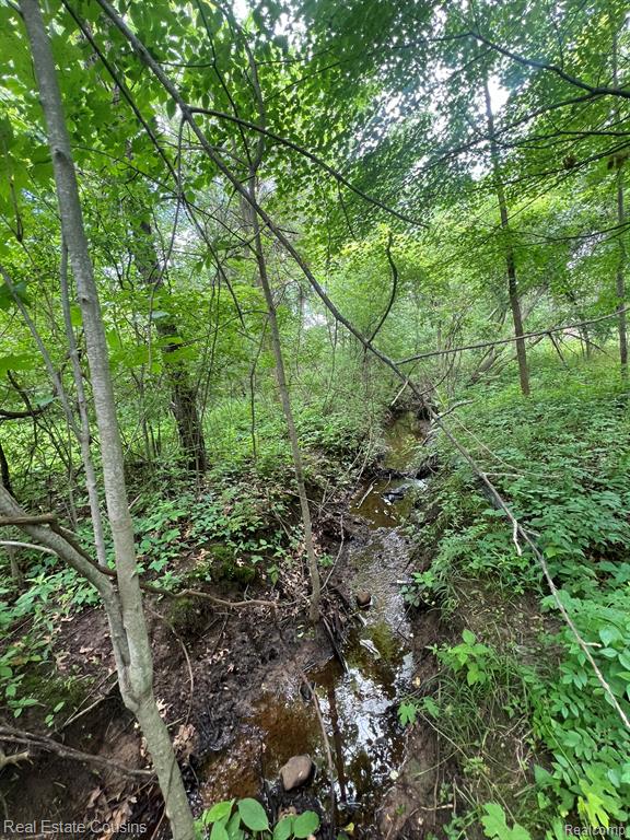 5440 Lobdell Road Fenton, MI 48430 - Photo 8 of 20