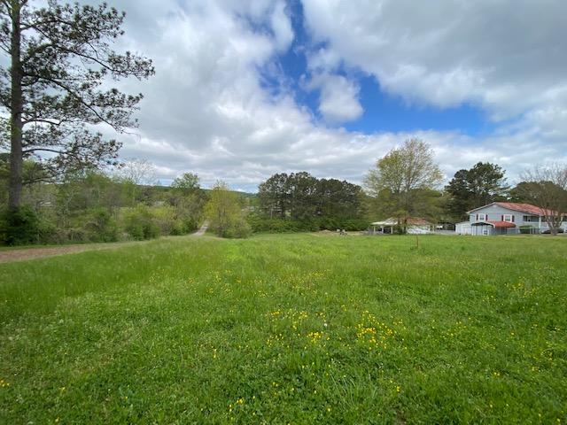 1360 Baugh Springs Road McDonald, TN 37353 - Photo 1 of 12 IMG_3387