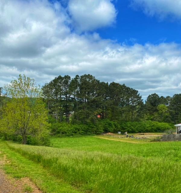 1360 Baugh Springs Road McDonald, TN 37353 - Photo 2 of 12 IMG_3388