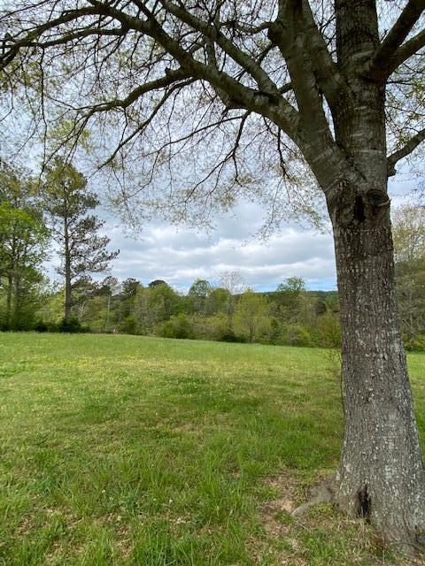 1360 Baugh Springs Road McDonald, TN 37353 - Photo 12 of 12 IMG_3398