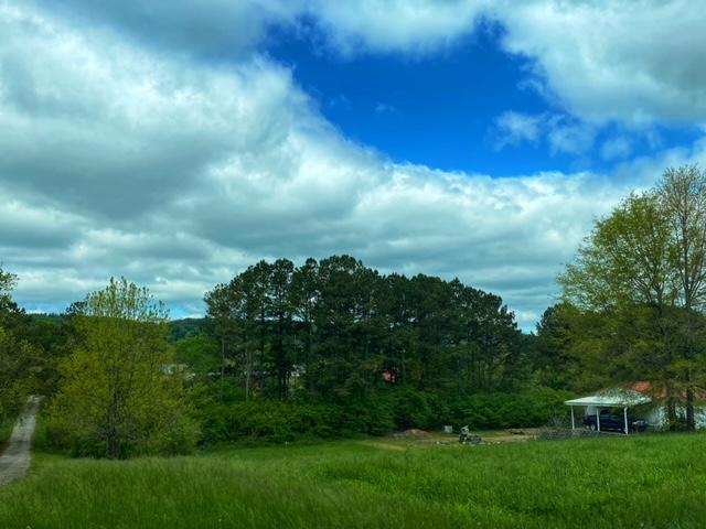 1360 Baugh Springs Road McDonald, TN 37353 - Photo 3 of 12 IMG_3385