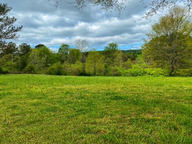 1360 Baugh Springs Road McDonald, TN 37353 - Photo 5 of 12 IMG_3395