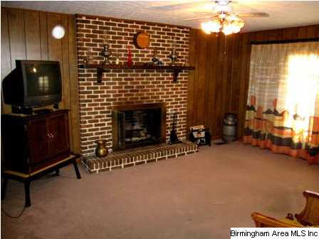 237 Sunset Drive Lincoln, AL 35096 - Photo 3 of 24