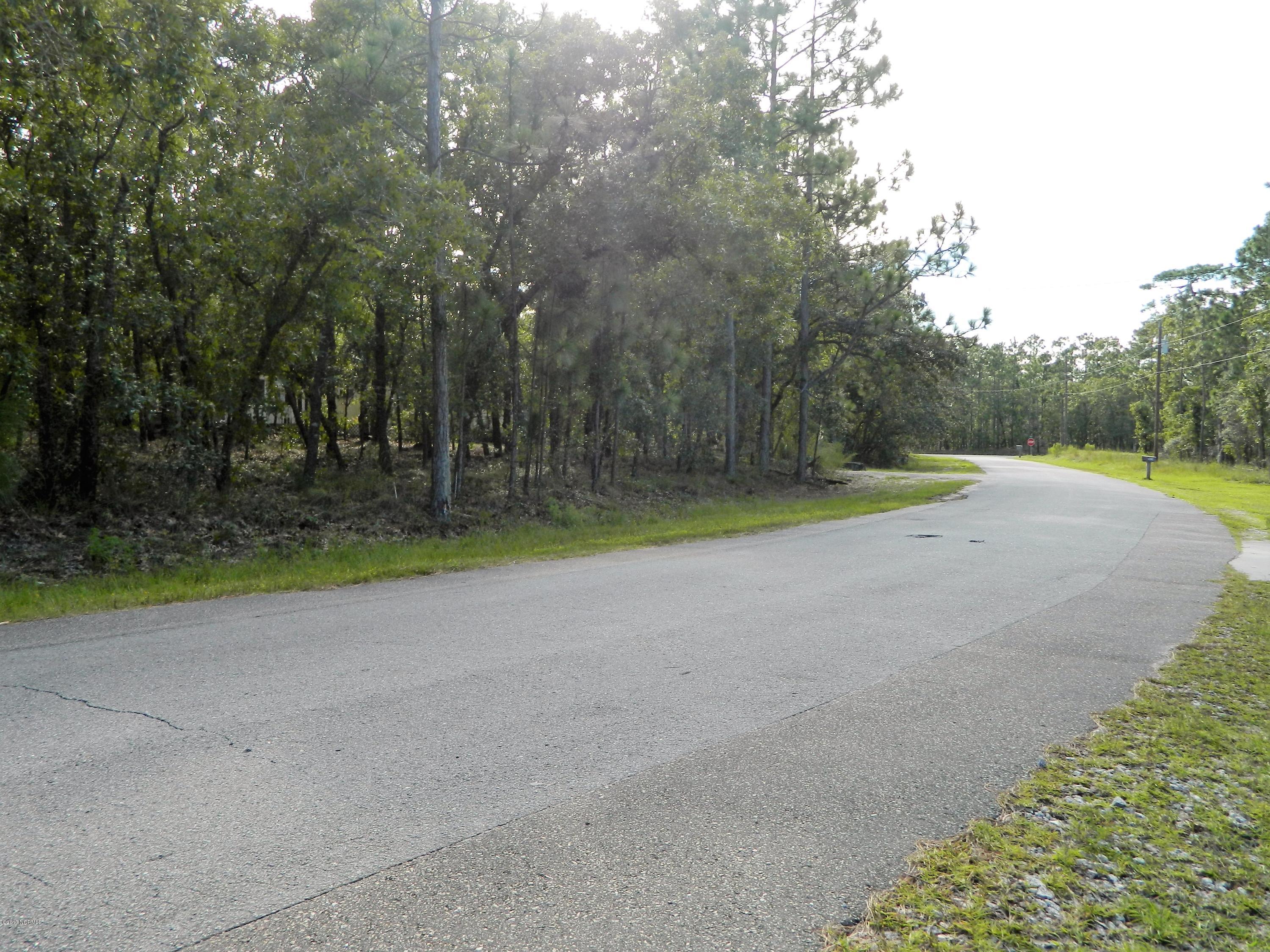 1047 Morehead Road, Unit BSL Southport, NC 28461 - Photo 38 of 40 DSCN7925