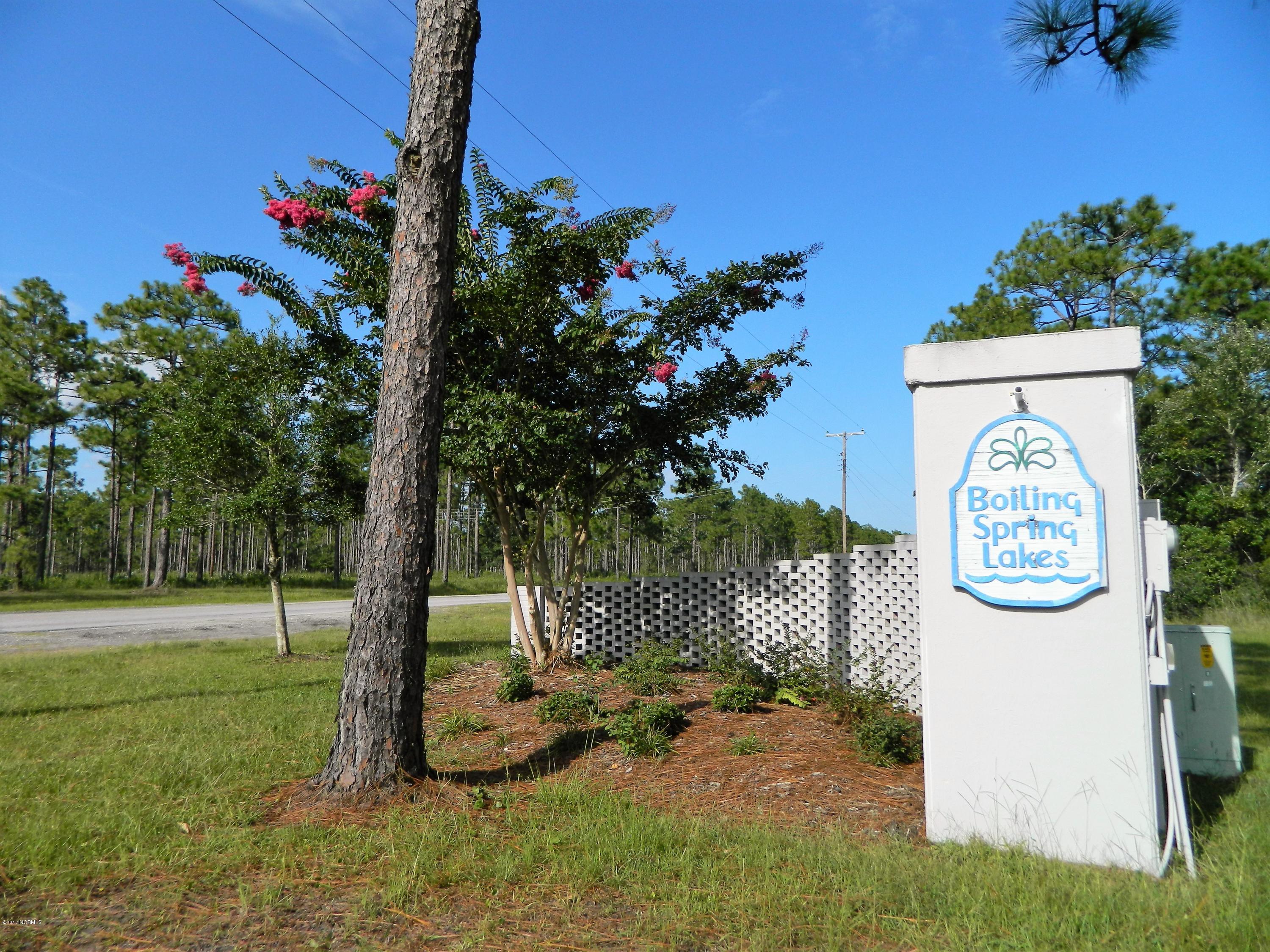 1047 Morehead Road, Unit BSL Southport, NC 28461 - Photo 40 of 40 DSCN7872