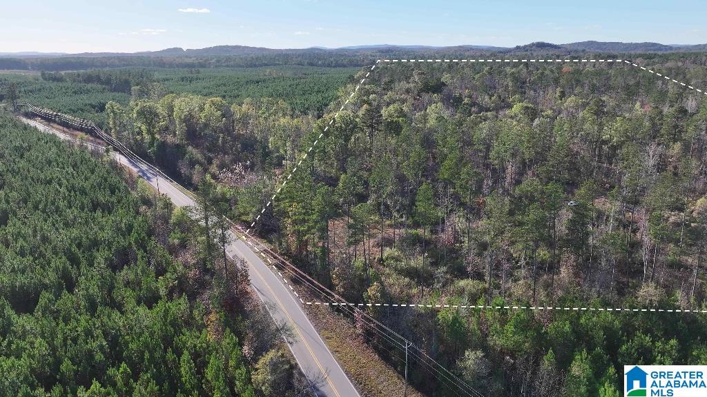 200 Kelly Creek Road Odenville, AL 35120 - Photo 10 of 47