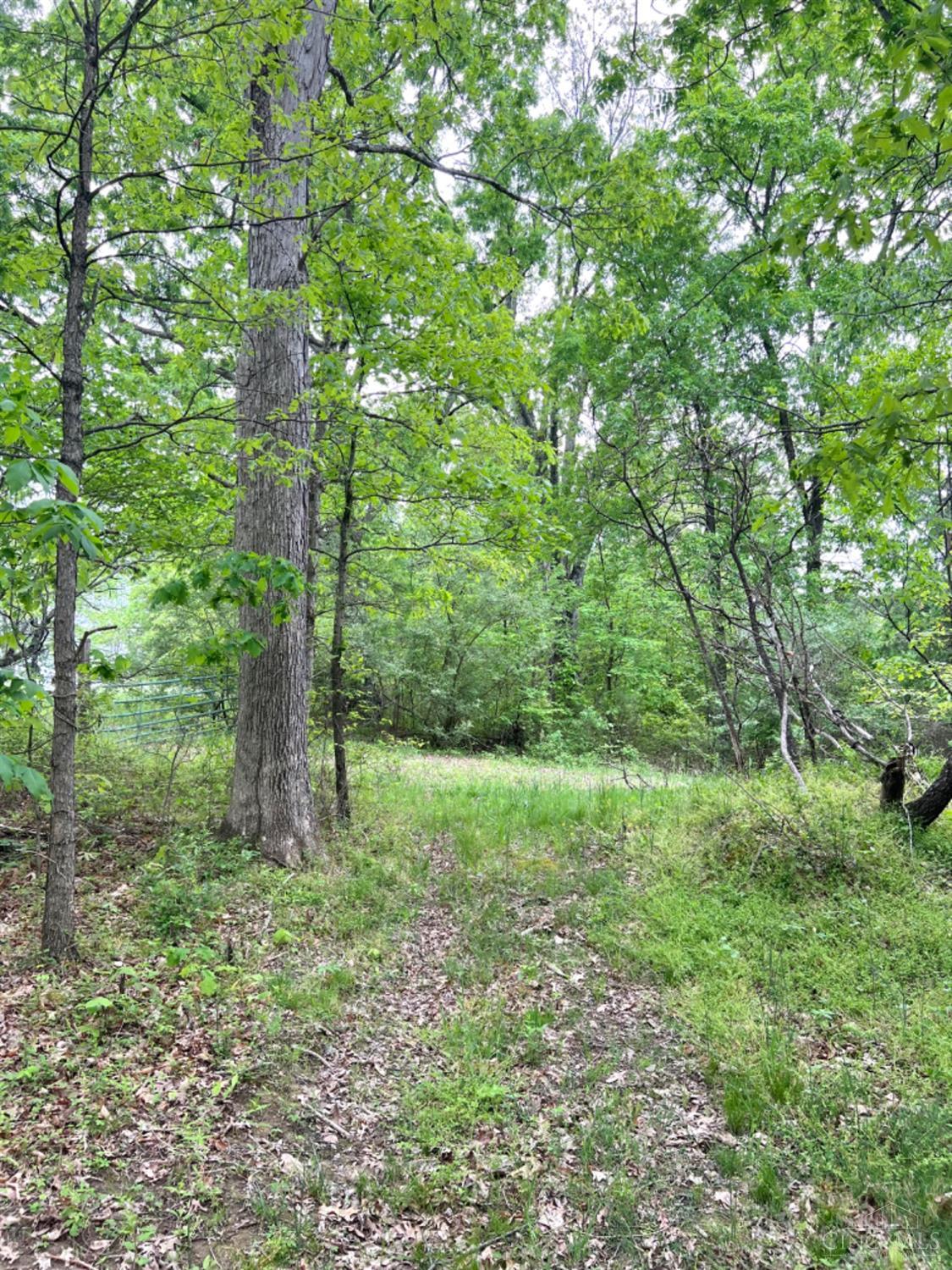 0 Spohn Road Jackson, OH 45640 - Photo 33 of 76