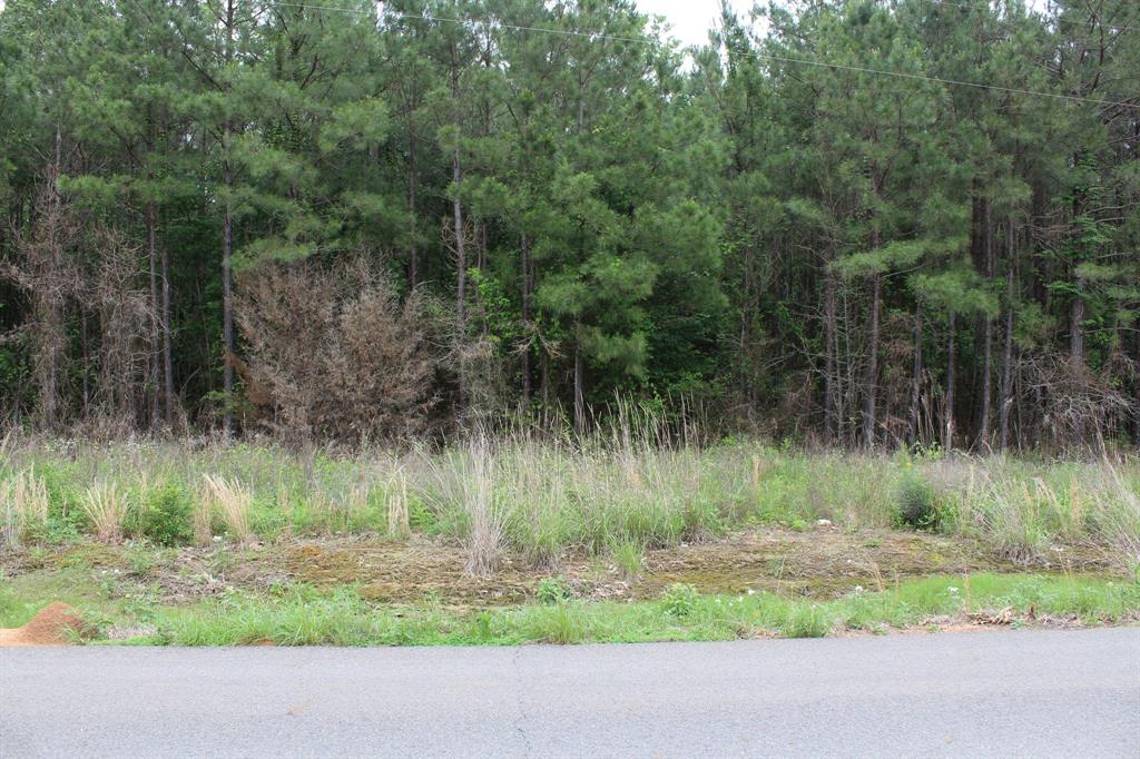 0 Mott Road Plain Dealing, LA 71064 - Photo 5 of 6