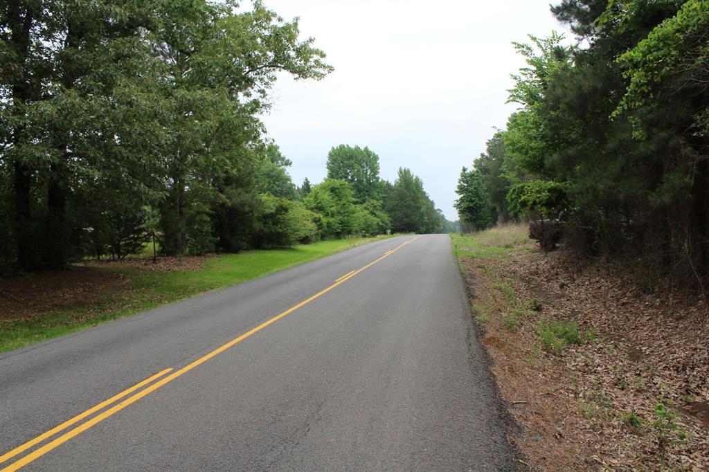 0 Mott Road Plain Dealing, LA 71064 - Photo 6 of 6