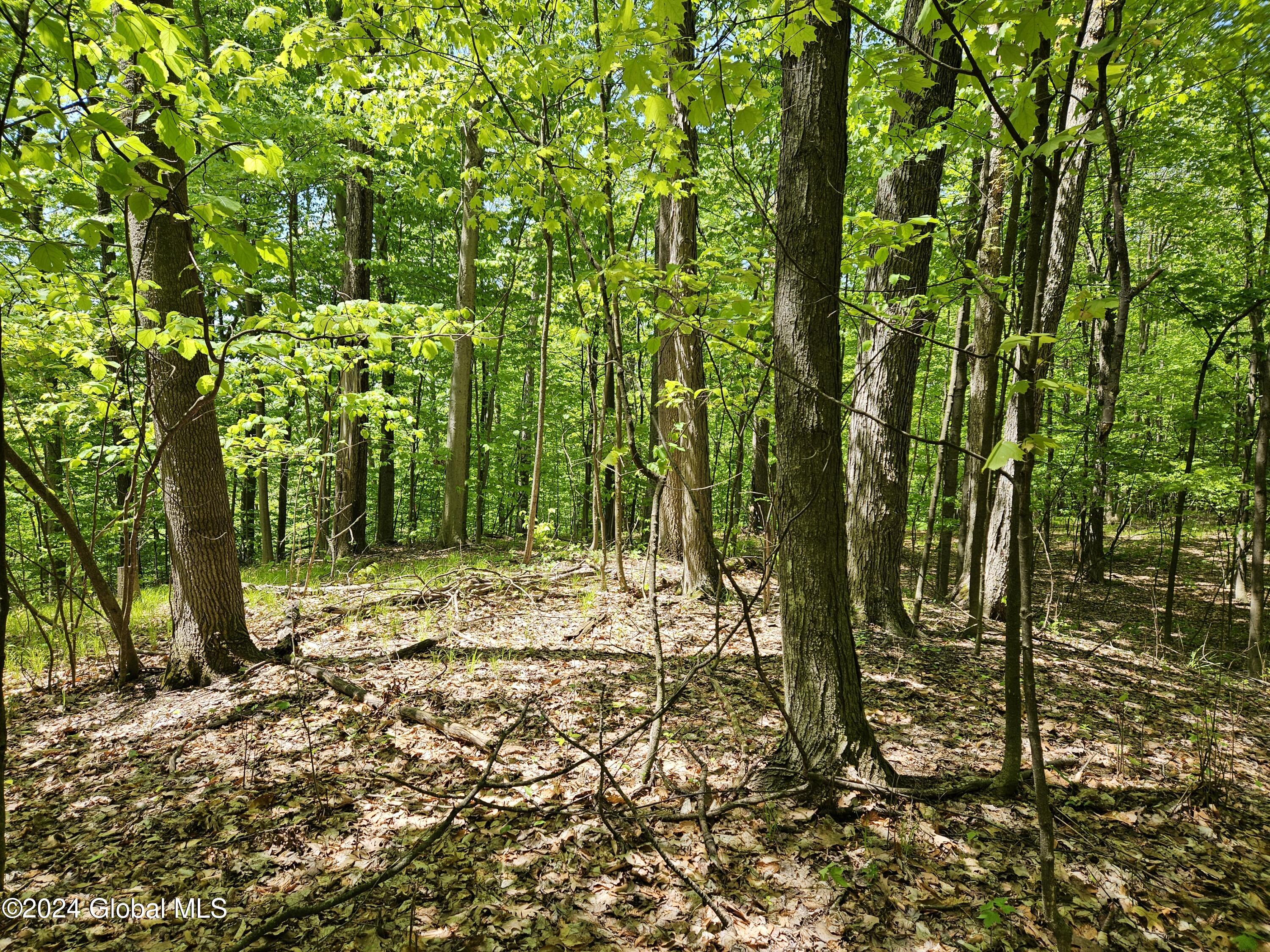 191 Cramer Road Malta, NY 12020 - Photo 3 of 41 Back Woods
