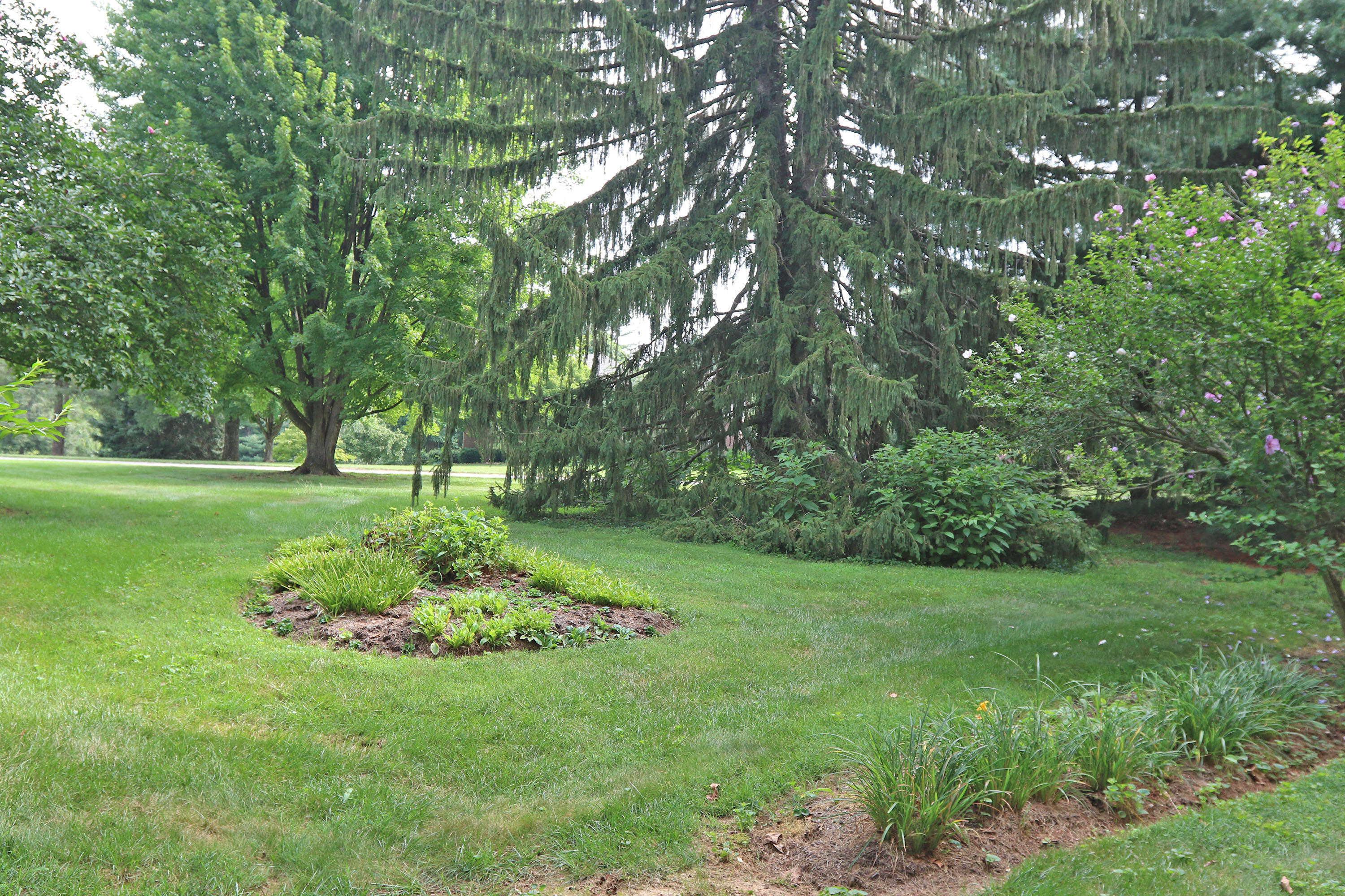 2586 Westmorland Road Lexington, KY 40510 - Photo 49 of 52 64
