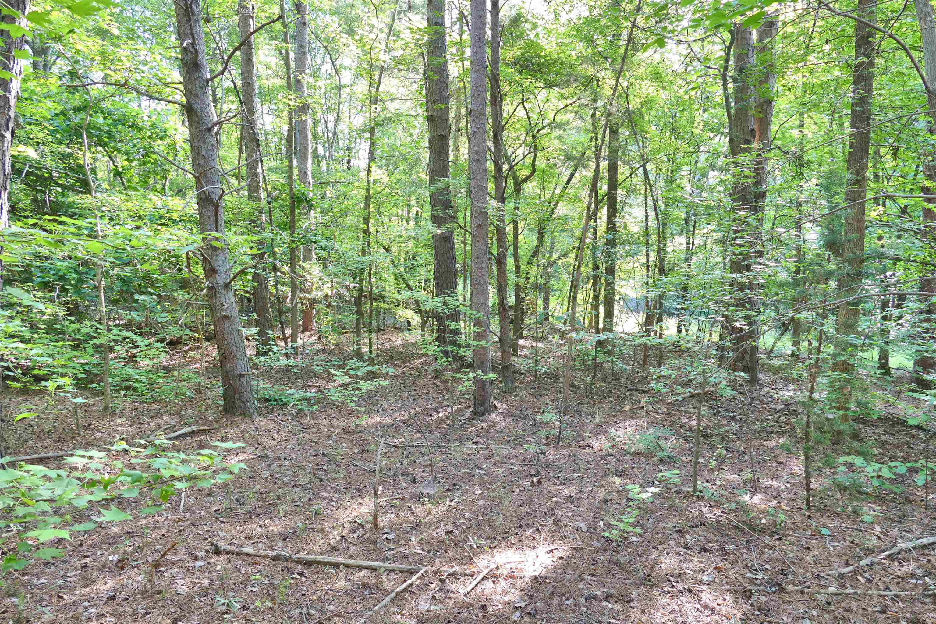 240 Coyl Road Gaffney, SC 29340 - Photo 6 of 13