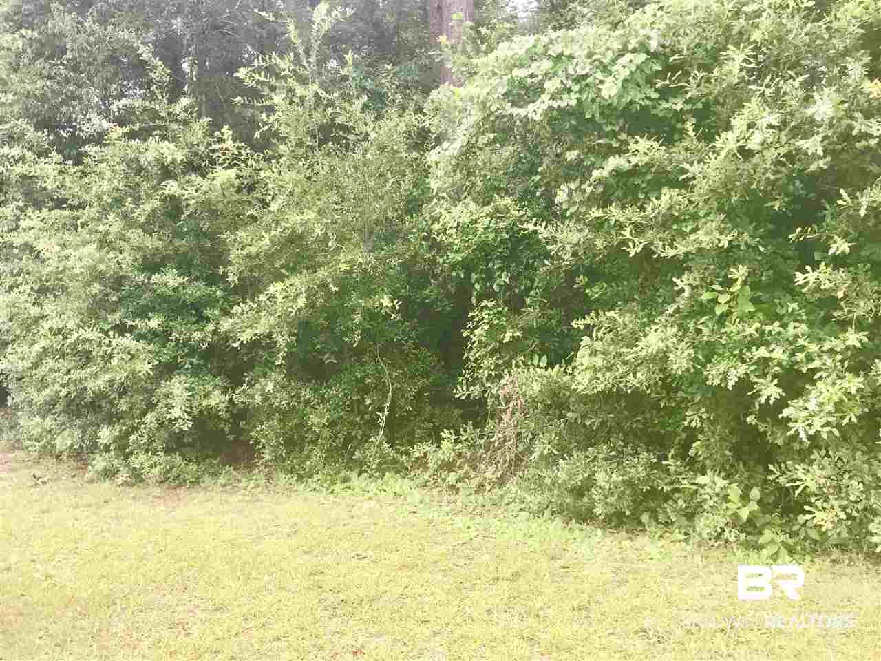 124 Meadow Wood Loop Daphne, AL 36526 - Photo 4 of 4 Gallery Image 4