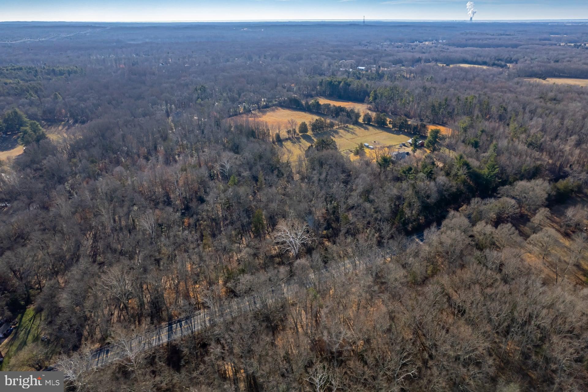 97 Alloway Aldine Road Alloway, NJ 08098 - Photo 28 of 52 Expansive wooded landscape with open fields.