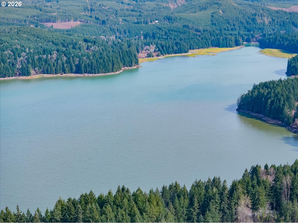 27579 Riggs Hill Road Foster, OR 97345 - Photo 32 of 37