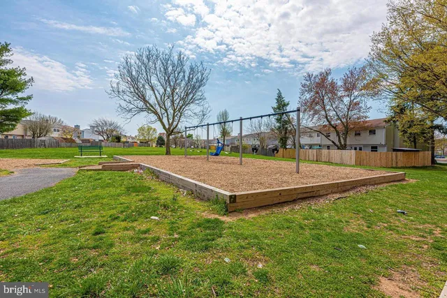 a view of a park with large trees