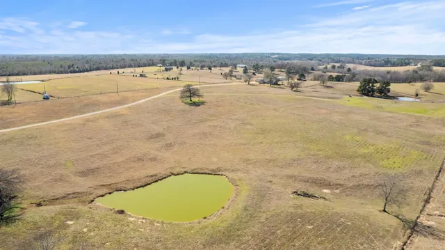 a view of a swimming pool with a lounge chair