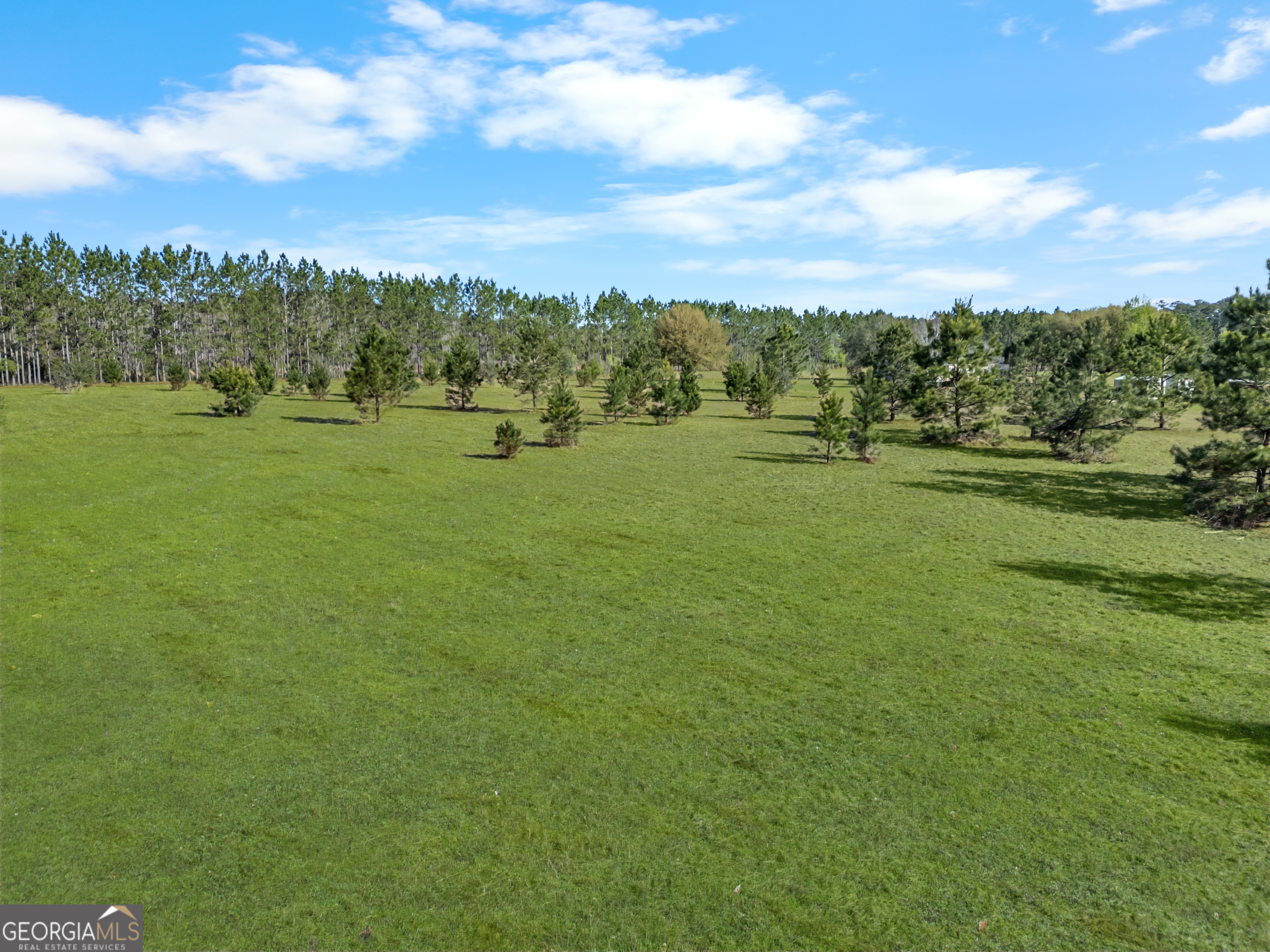 0 Old Louisville Road Guyton, GA 31312 - Photo 2 of 18