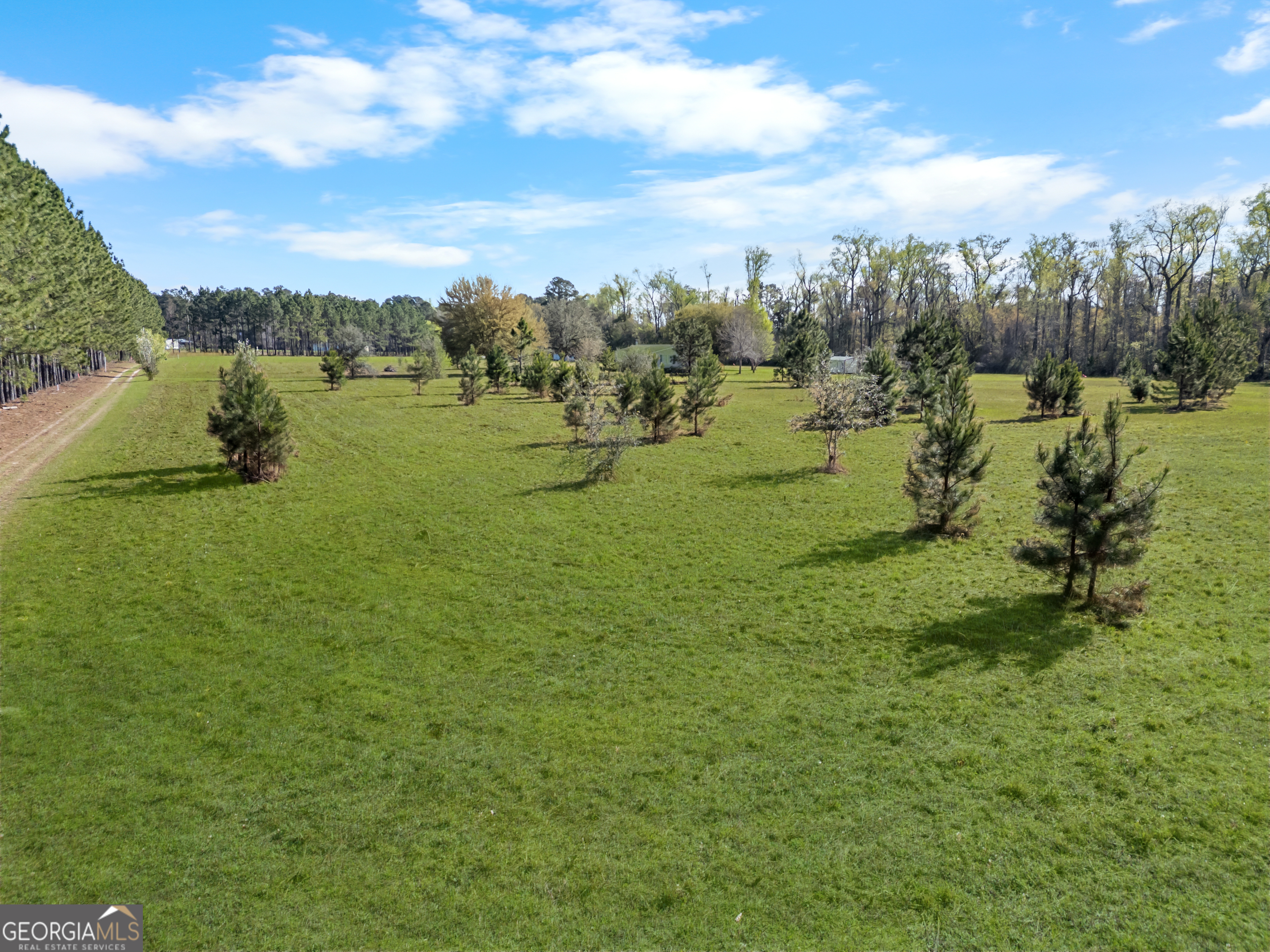 0 Old Louisville Road Guyton, GA 31312 - Photo 6 of 18