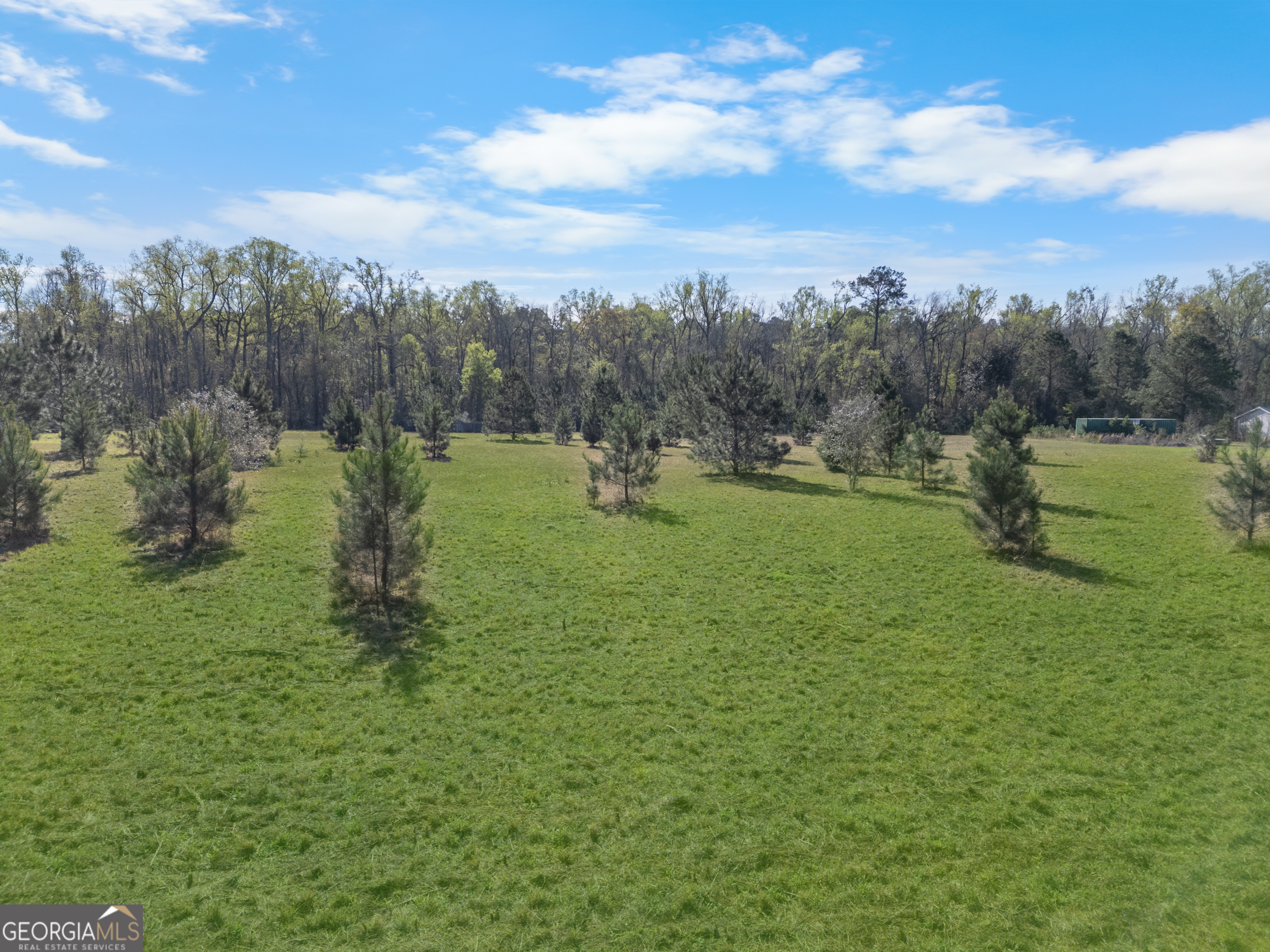 0 Old Louisville Road Guyton, GA 31312 - Photo 7 of 18