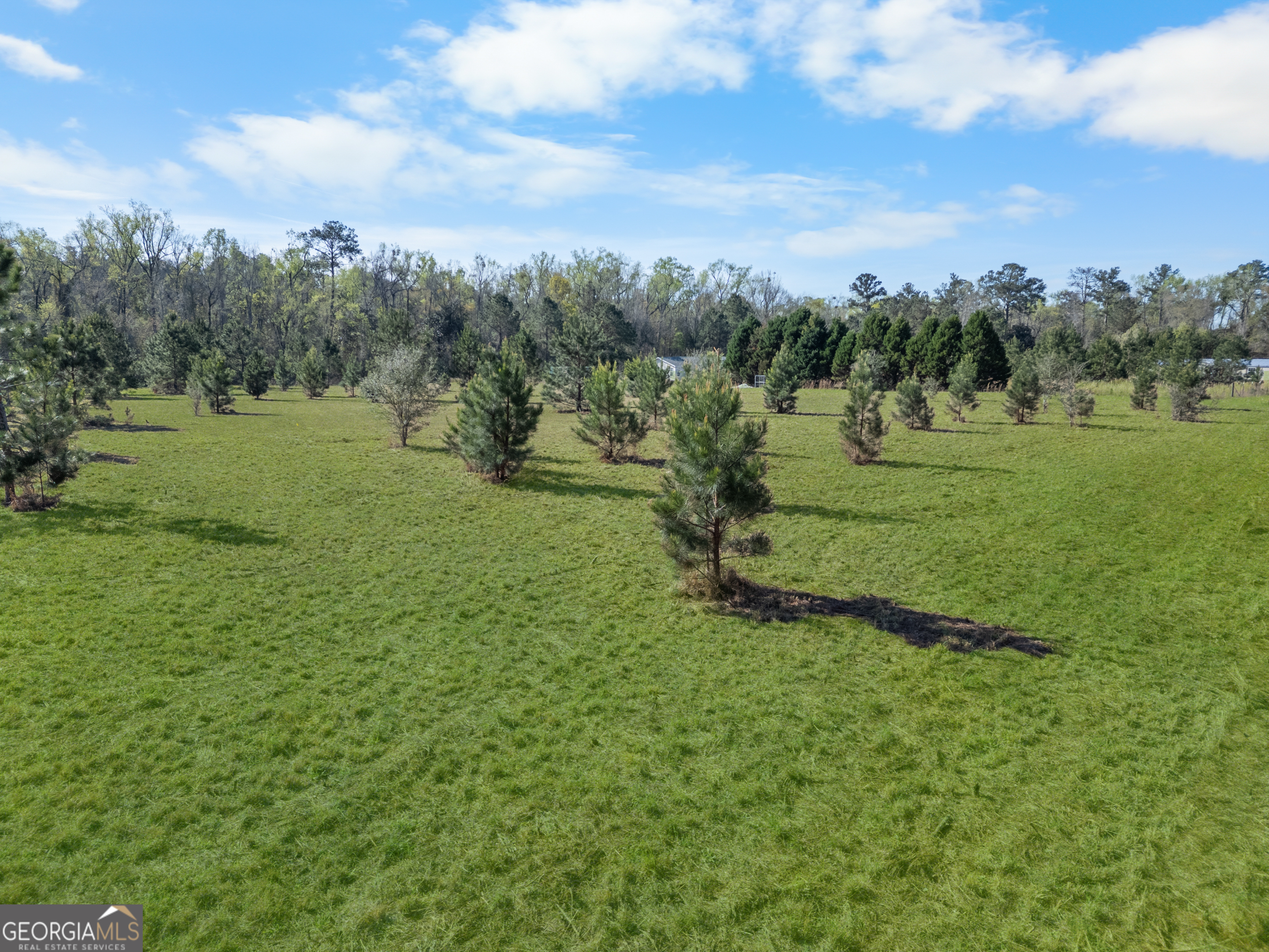 0 Old Louisville Road Guyton, GA 31312 - Photo 8 of 18