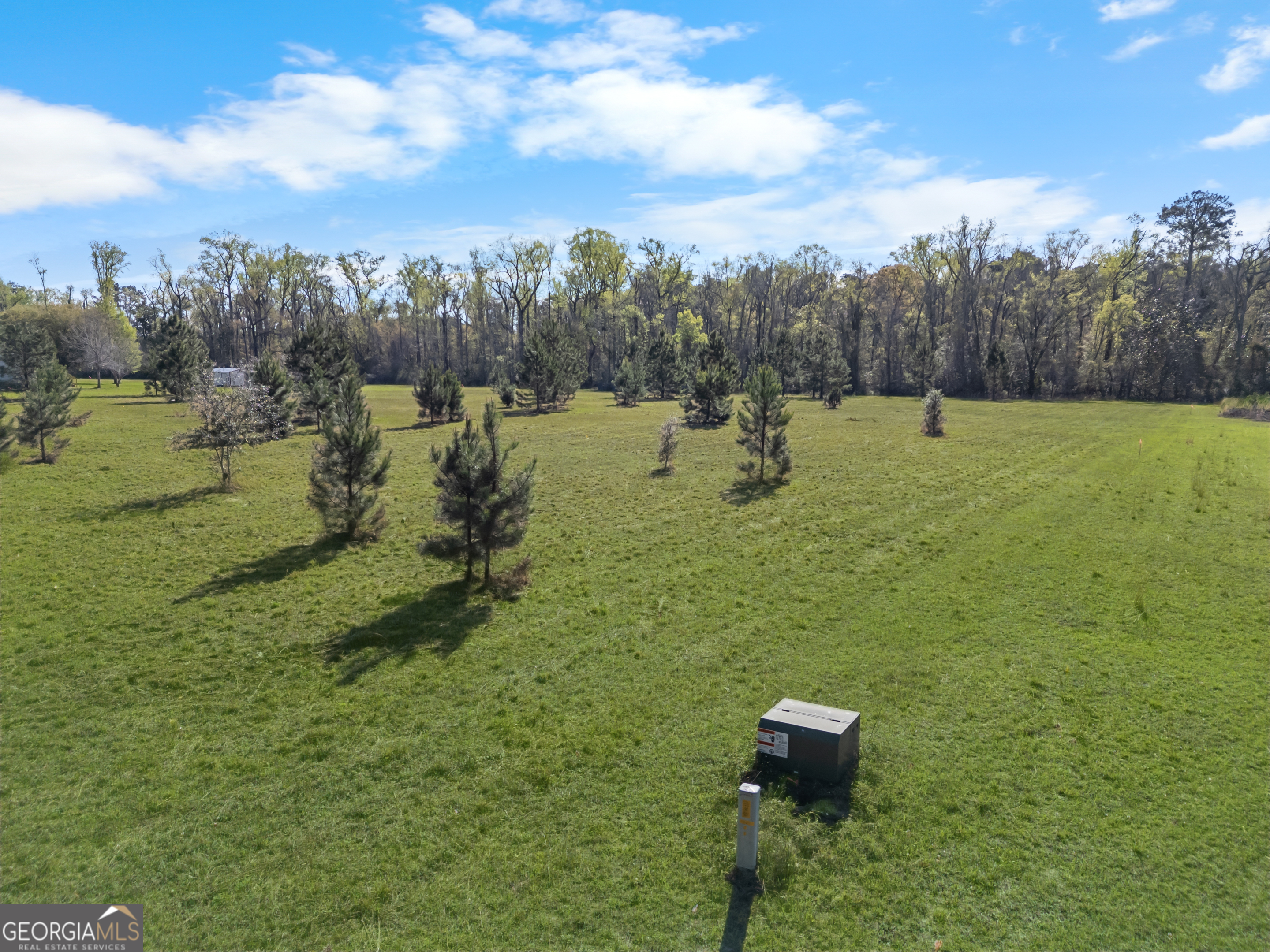 0 Old Louisville Road Guyton, GA 31312 - Photo 9 of 18