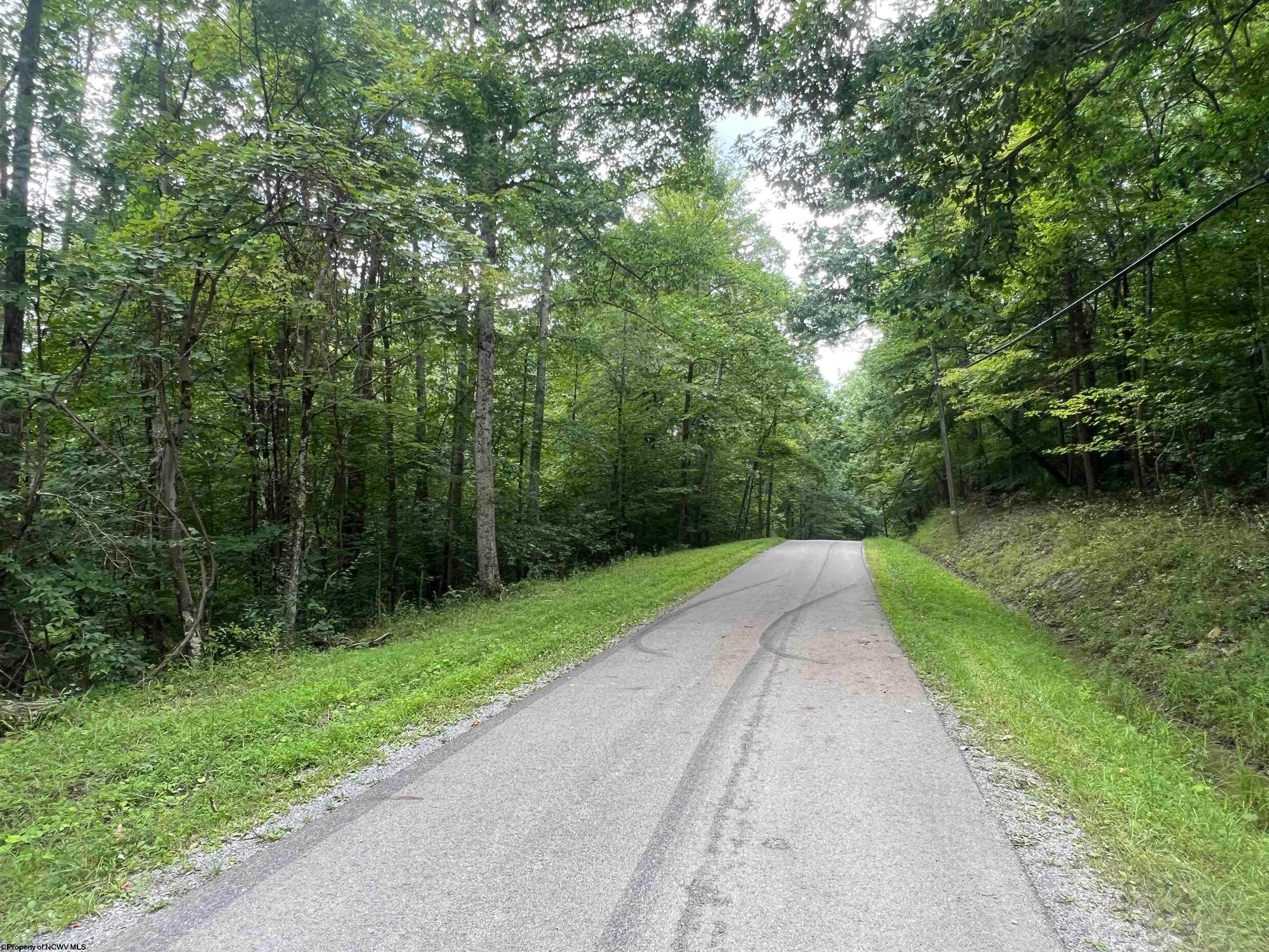 Tbd Derico Road Ellamore, WV 26267 - Photo 7 of 14 Gallery Image 7
