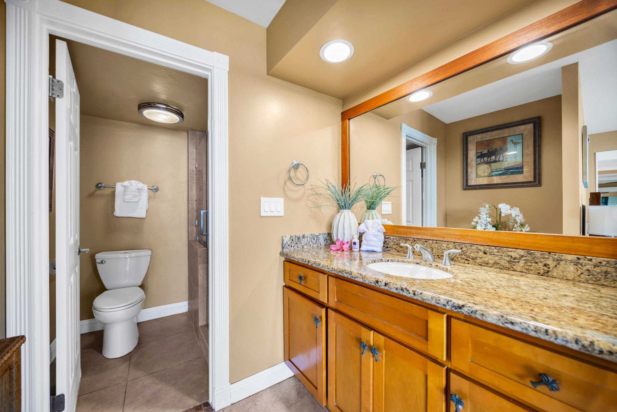 3615 Lower Honoapiilani Road, Unit 222 Lahaina, HI 96761 - Photo 22 of 50 a bathroom with a granite countertop sink and a mirror