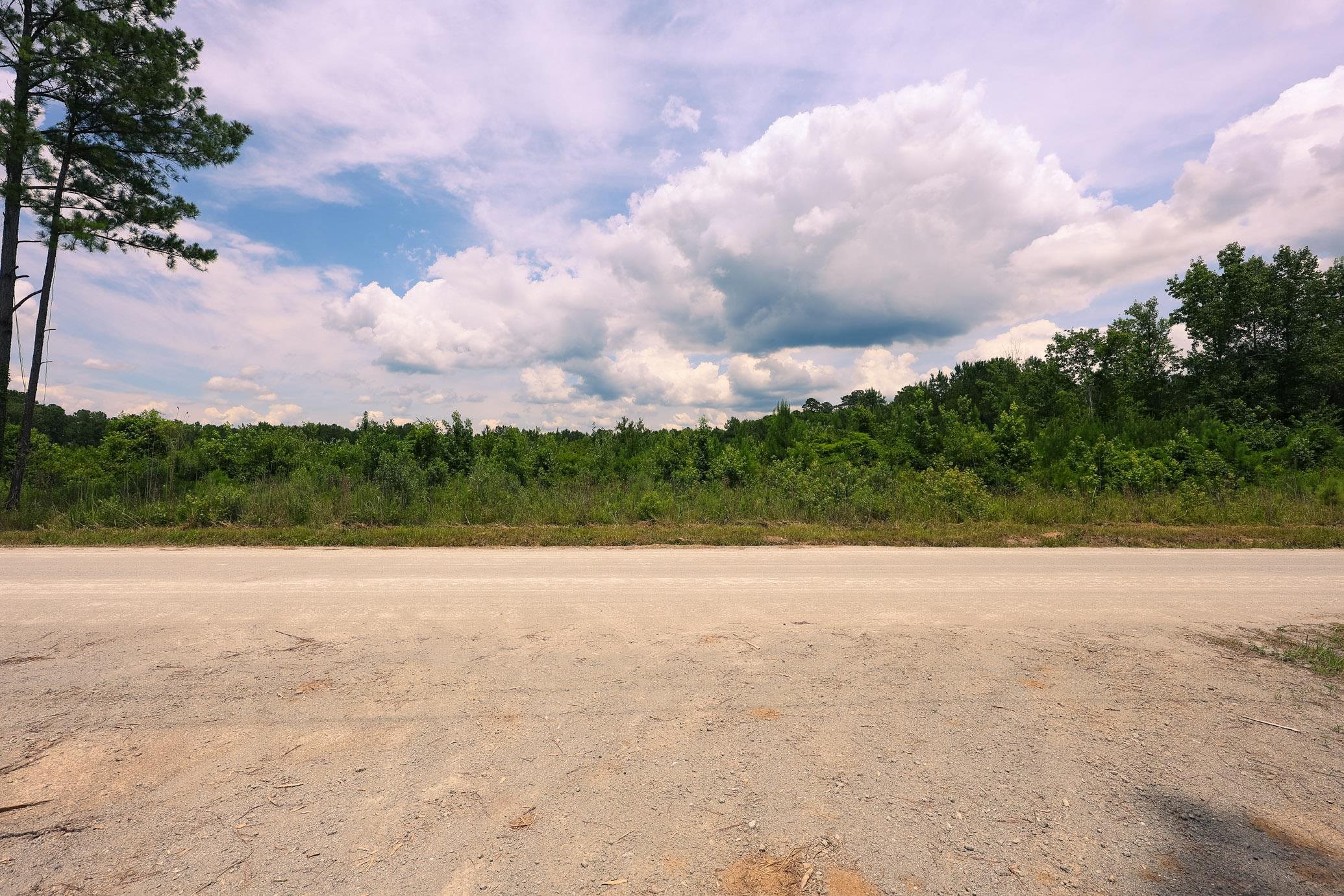Lot B Fries Bay Road Loris, SC 29569 - Photo 5 of 6