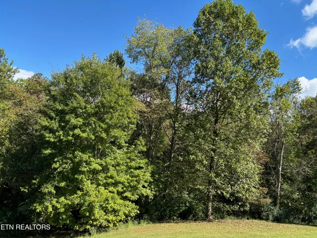 $7,500 | 595 Ricky Drive, Talbott, TN 37877