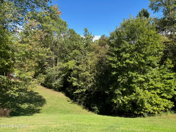 $7,500 | 595 Ricky Drive, Talbott, TN 37877