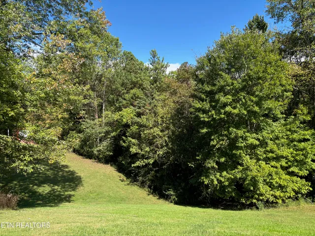 $7,500 | 595 Ricky Drive, Talbott, TN 37877