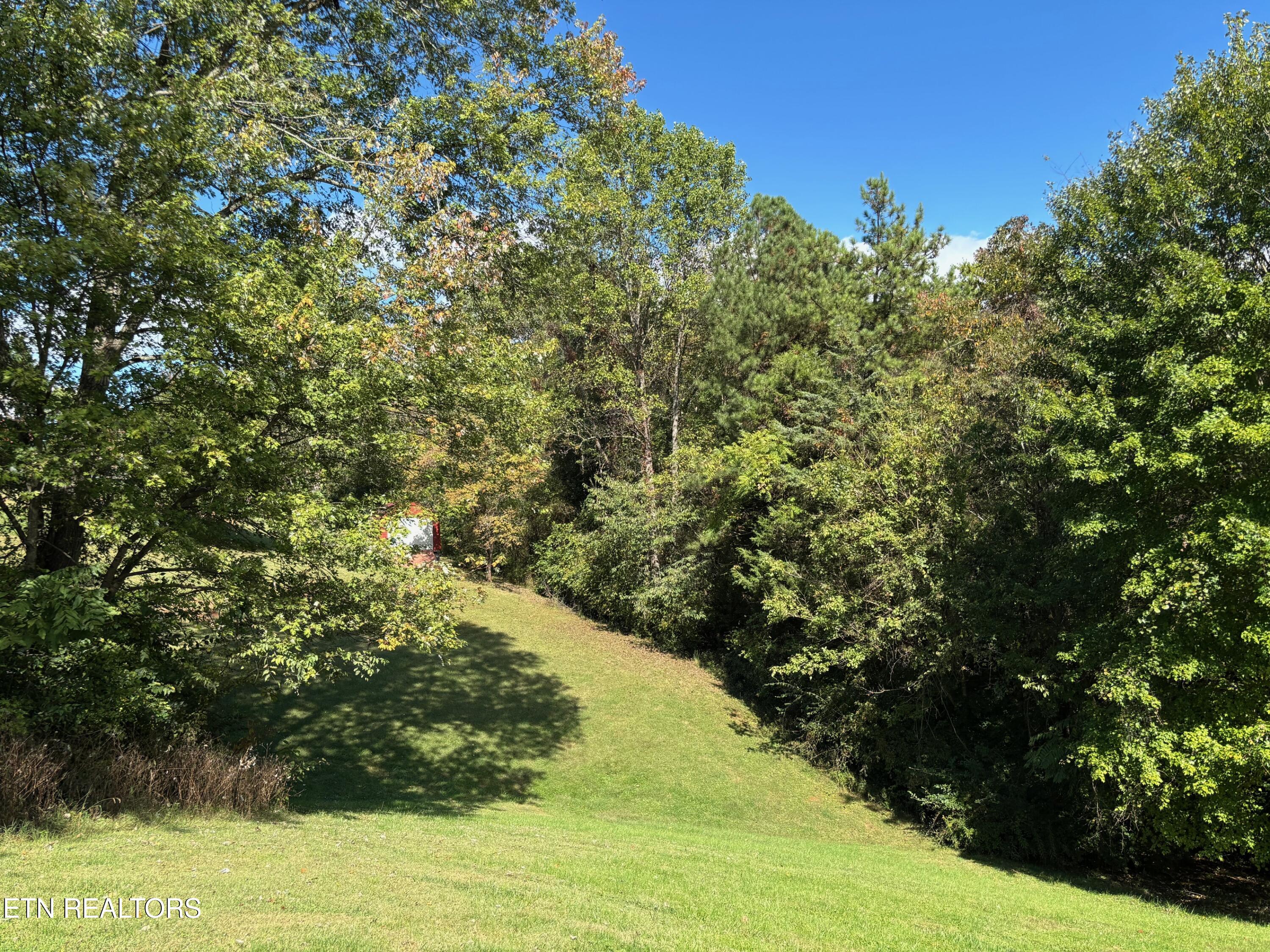 595 Ricky Drive Talbott, TN 37877 - Photo 3 of 3 IMG_9274