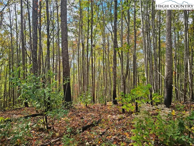 $315,000 | Lot 62-63 Bent Bow Drive, Collettsville, NC 28611
