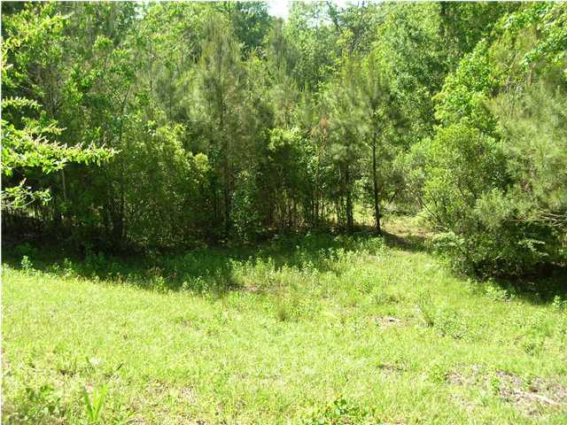 1136 Bob Sikes Road DeFuniak Springs, FL 32435 - Photo 8 of 25 Additional Photo