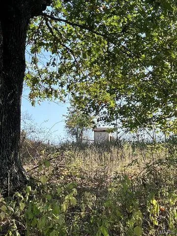 $240,000 | 0 Date Drive, Summersville, MO 65571